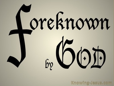 Foreknown of God (black) 